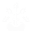 Logo Arbora